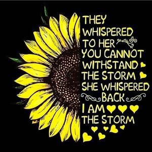 Meet your Posher, Willa